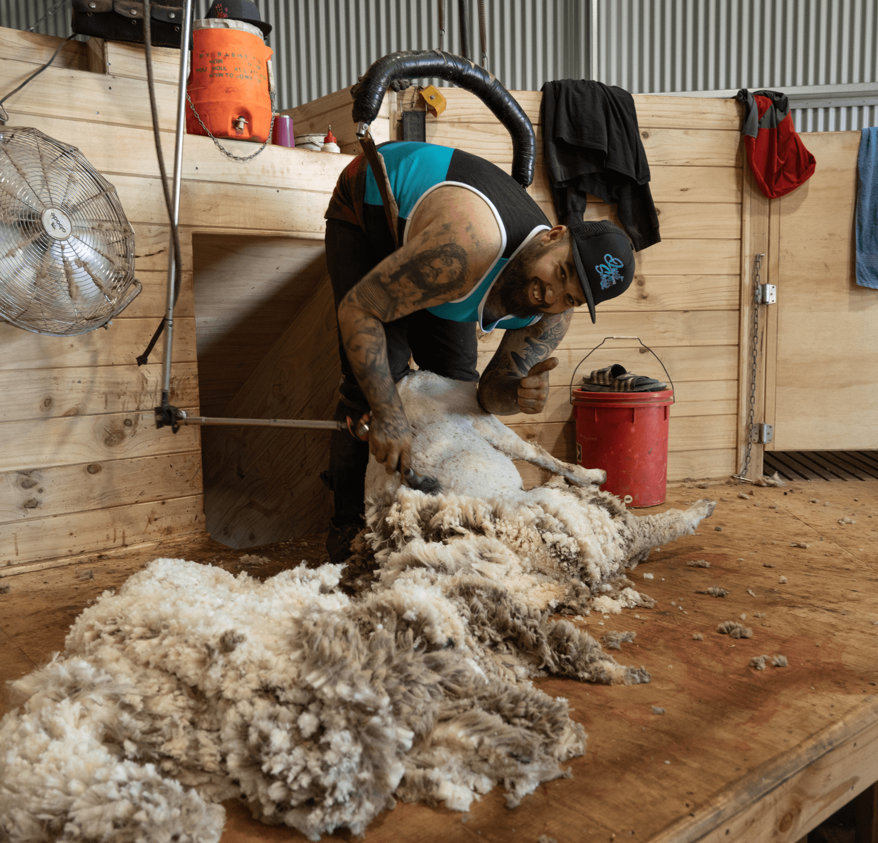 Teal & Black Diagonal | Shearing Singlet