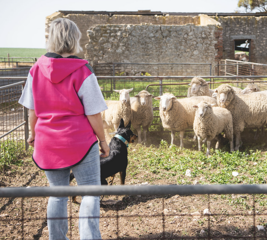 Just Shear | Sheep Shearing Clothing Australia | Shearing Supplies