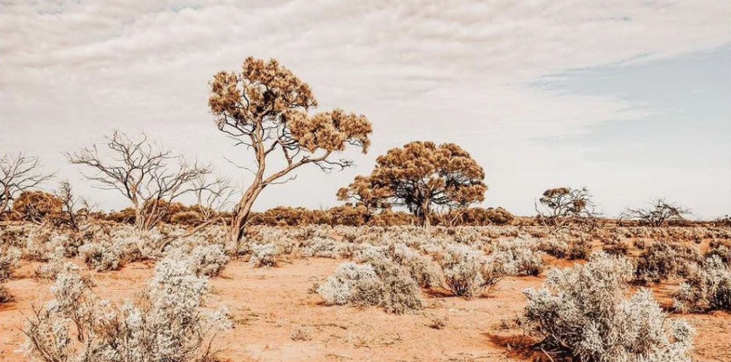 Photo Competition - Win a $250 voucher