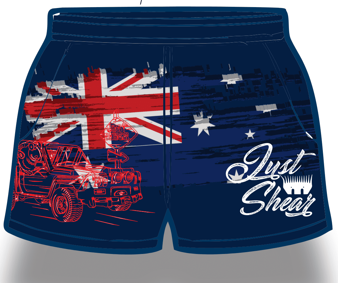 Next online blue shorts