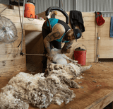 Teal & Black Diagonal | Shearing Singlet