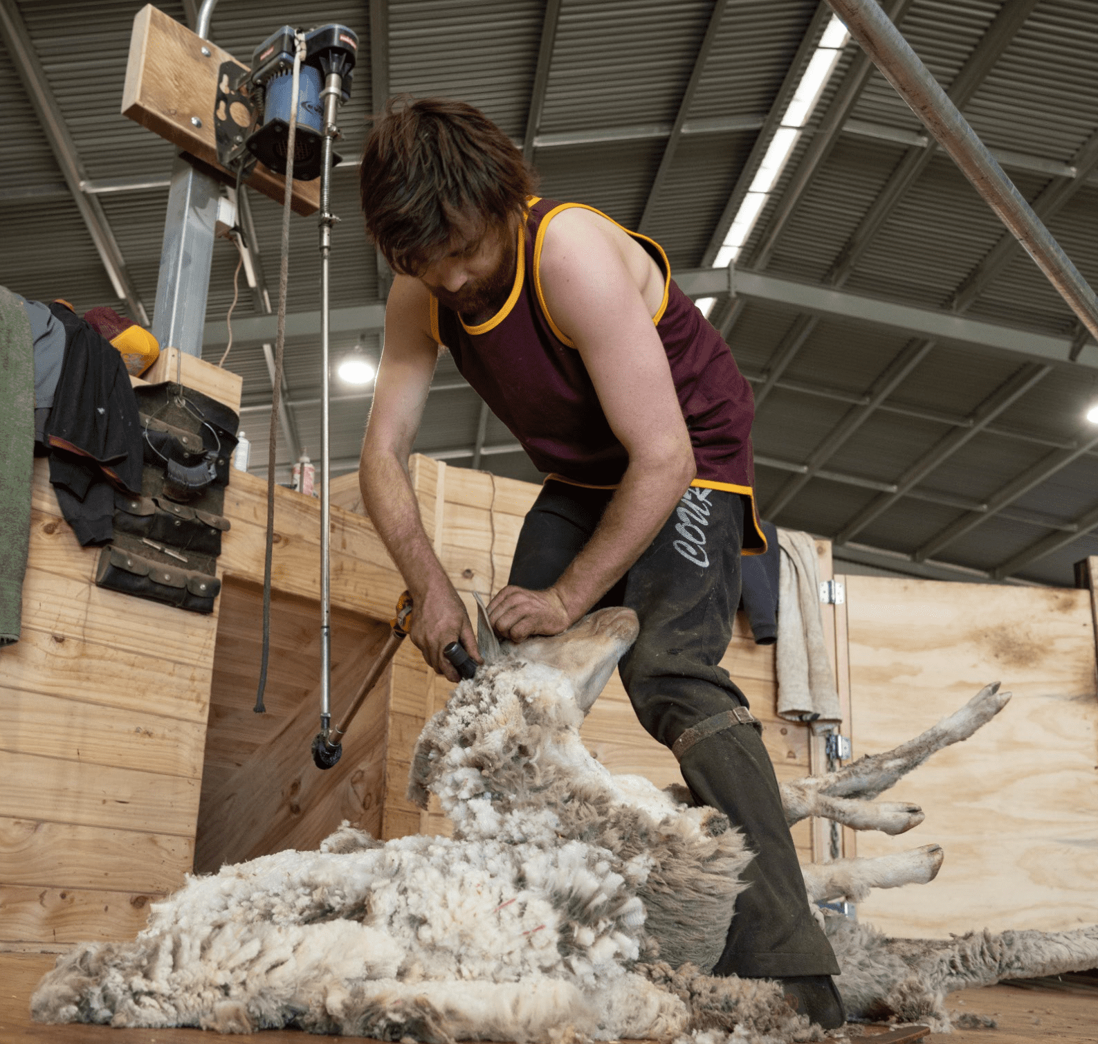 Shearing Rag Maroon with Gold Trim Shearing Singlet – Just Shear